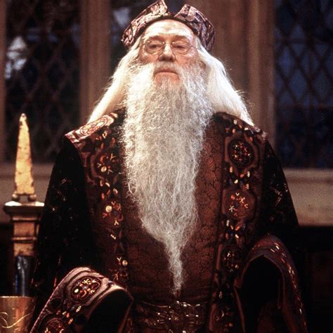 Precisamos Falar Sobre As Roupas De Dumbledore Twitter