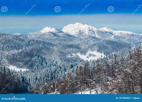 Croatian Nature Landscape Risnjak Mountain Under Snow In Gorski Kotar