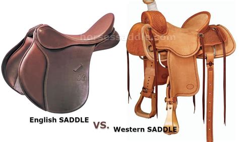 English Vs Western Saddle