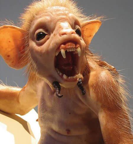Genetic modification is carried out by gene transfer between species. Human-Animal Hybrids, Human Cloning And Bizarre ...