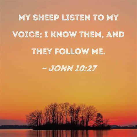 John 1027 My Sheep Listen To My Voice I Know Them And They Follow Me