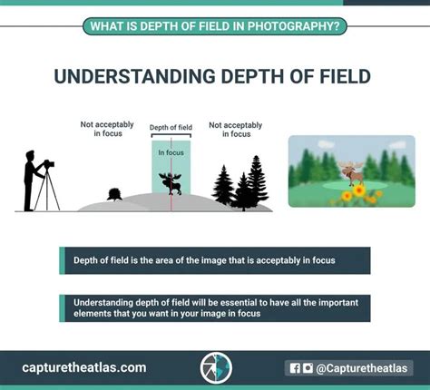 Depth Of Field In Photography Explained The Ultimate Dof Guide In