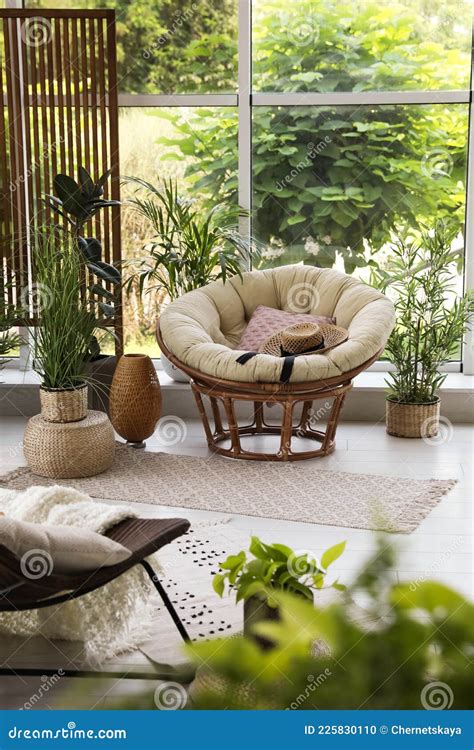 Indoor Terrace Interior With Soft Papasan Chair And Plants Stock Photo