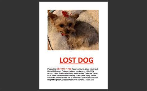 Lady from Yonkers ( ️ Sponsored by Ulster Savings Bank) - Lost Pets of