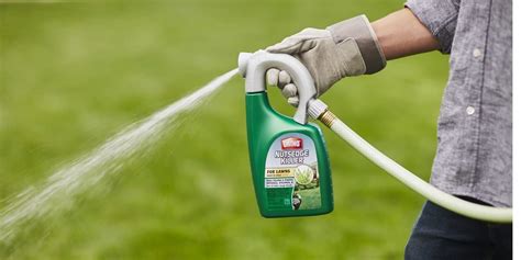 15 homemade weed killers that will work in your yard. The 10 Best Weed Killers of 2020 | Best Wiki