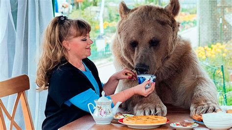 真正的“熊孩子”：熊被俄罗斯家庭收养 帮主人在花园浇水（组图） 中国网山东要闻 中国网 • 山东