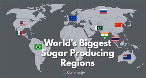 Top Sugar Cane Producing Countries World S Largest Su
