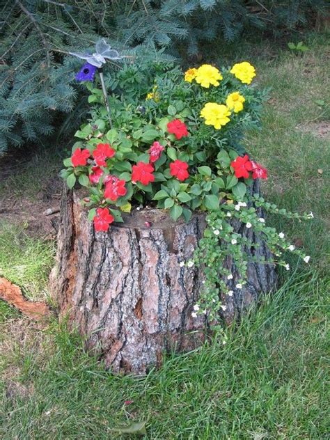 15 Excellent Tree Trunk Ideas To Decorate Your Garden The Art In Life