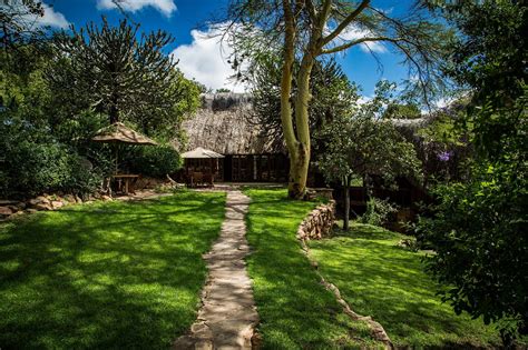 Borana Lodge Updated 2024 Reviews Borana Conservancy Kenya