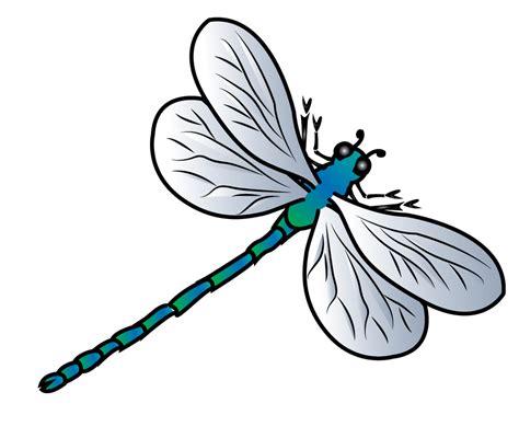 Ideas 25 Of Dragonfly Clipart Transparent Background Indexofmp3galvanize
