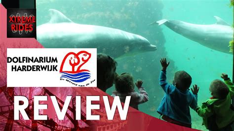 review dierenpark dolfinarium harderwijk holland youtube