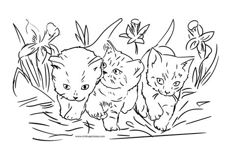 Desene de primavara de colorat cu peisaje de primavara si personaje adorate de cei mici, pentru a. Planse de colorat cu pisici - Pisici de colorat si pictat