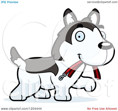 Cartoon Of A Cute Husky Puppy Dog Carrying A Leash