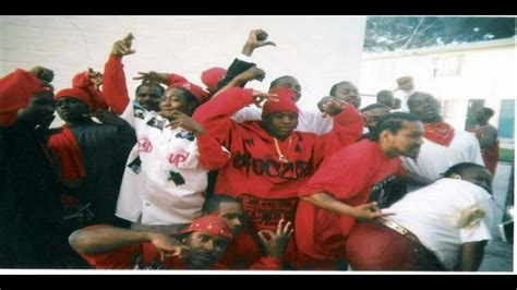The crips had formed following the dismantling of the black panther party and had quickly grown in numbers by absorbing local street gangs. Street Gangs, Gangsters, Prison, Jail, Surenos, Bloods ...
