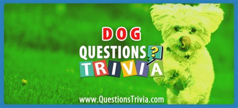 Dog Trivia Questions And Quizzes Questionstrivia