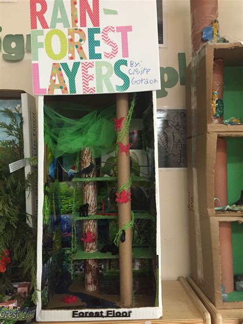 Layers Of The Rainforest Model Rainforest Crafts For Kids Kids