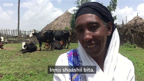 Wadaajii Durii Fi Hara Bbc News Afaan Oromoo