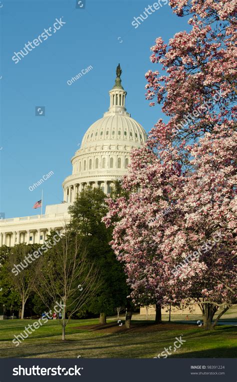 Capitol Building In Spring Washington Dc Usa Stock Photo 98391224