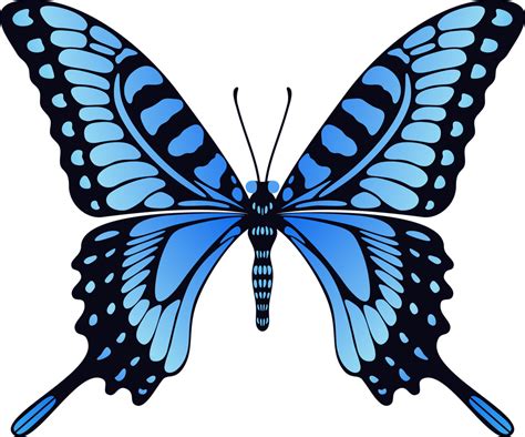 Blue Butterfly By Cencerberon On Deviantart