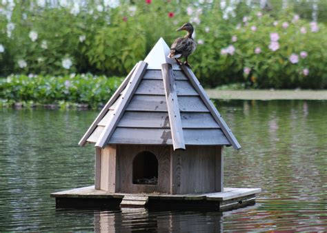The most important aspect is choosing your material for the duck house. Pond Decor - Floating Duck House