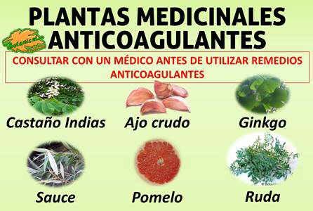 Es importante saber que cada persona requerirá de un tratamiento concreto, por lo que es importante que consultes con tu médico. Blog de Plantas: ¿CUÁNDO ES PELIGROSO TOMAR PLANTAS ...