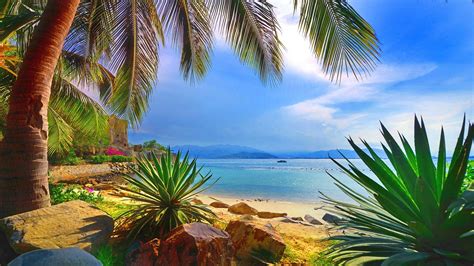 Download Hidden Tropical Paradise Wallpaper