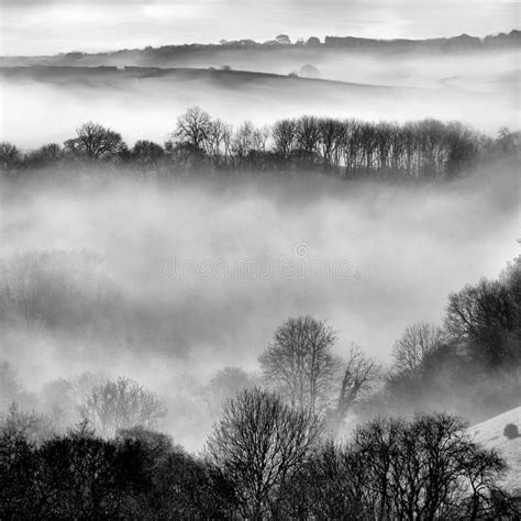 Early Morning Mist Stock Photo Image Of Shows Conditions 42029074