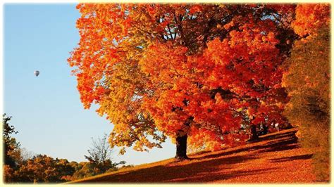 Fall Scenery Backgrounds Wallpaper Cave