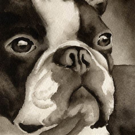 Boston Terrier Art Etsy