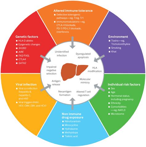 Diagnosis And Management Of Autoimmune Hepatitis The Bmj