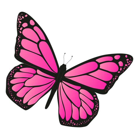 Detailed Pink Butterfly Vector Transparent Png And Svg Vector File
