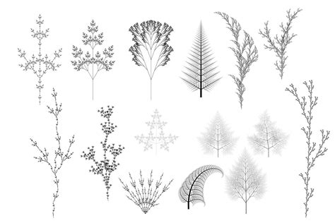 53 Vector L System Fractal Plants Computer Generated Tree Mathematic