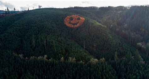 Smiley Face Forest Oregons Happy Hillside Unusual Places