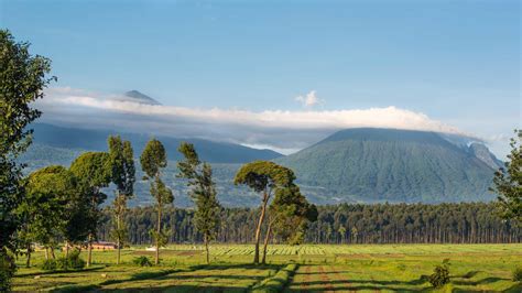 The west of rwanda forms a branch of the great rift valley known as the albertine rift. Rwanda RTT 2020