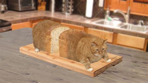 Cat Loaf Of Bread