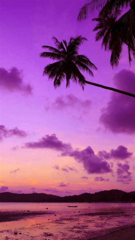 Purple Beach Sunset Wallpapers Top Free Purple Beach Sunset