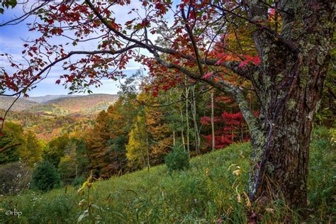 West Virginia Takes Lead As Americas Ultimate Autumn Destination