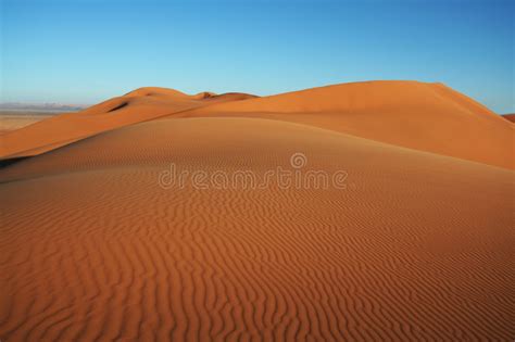 Desert Stock Photo Image Of Summer Landscape Sunshine 8315368