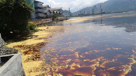 Tumpahan Minyak Cemari Laut Pelabuhan Teluk Bayur Padang Jurnal Sumbar