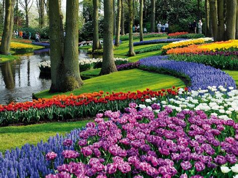 Keukenhof Garden Lisse Garden Of Europe