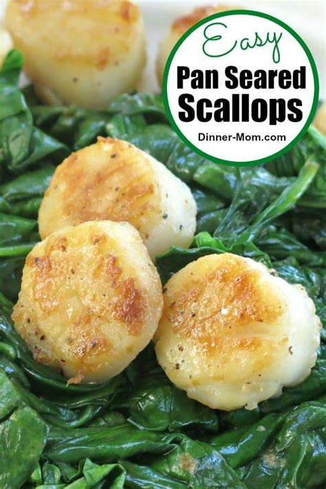 Pan Seared Scallops Recipe With Wilted Spinach The