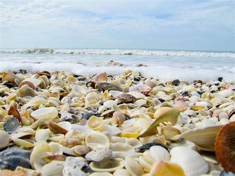Les 15 plus belles plages de coquillages au monde