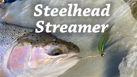 Steelhead Streamer Emerald Shanker Fly Tying Tutorial 4k Youtube