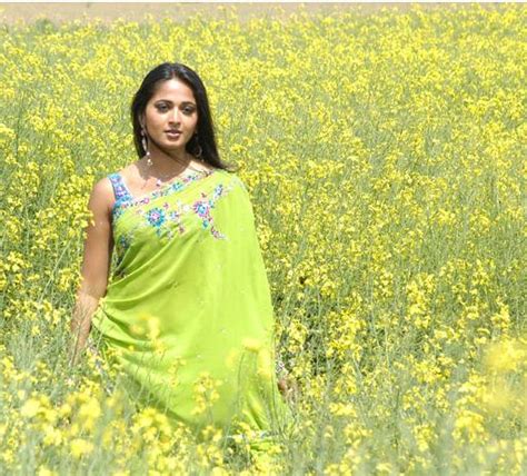 trisha n anushka latest stunning hot stills from telugu movies ~ actress wallpapers