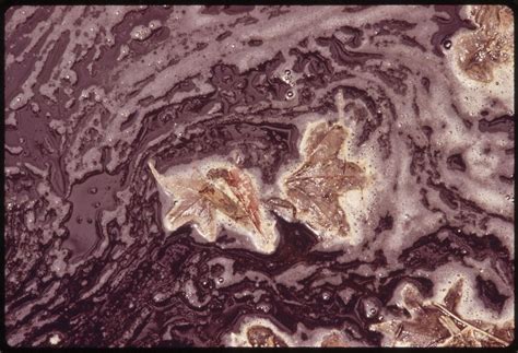 This means indoor fitness and recreation are fully open. The Contaminated Water of Mill Creek. Waste from the ...