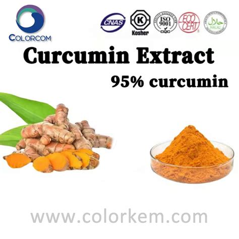 High Quality Turmeric Manufacturer And Supplier Factory Colorkem