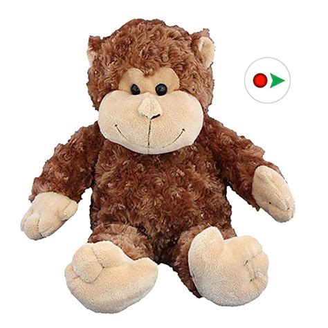 Record Your Own Plush 16 Inch Stuffed Monkey Ready To Love In A Few