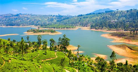 1 malaysian ringgit = 48.0386 sri lankan rupee on this page convert myr to lkr using live currency rates as of 02/04/2021 13:28. Sri Lanka introduces free visas on arrival for travellers ...