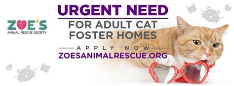 Zoes Animal Rescue Furrsq Twitter