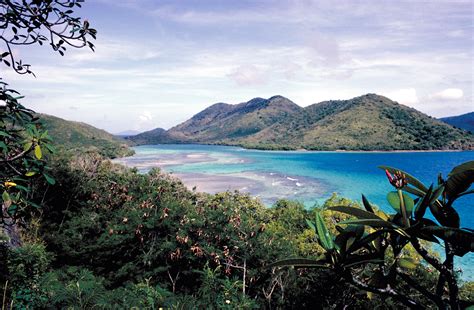 Get virgin islands information, facts, photos, and more in this virgin islands national park guide from national geographic. Virgin Islands National Park